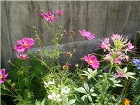 0b10ea2a-Picture 6418.jpg